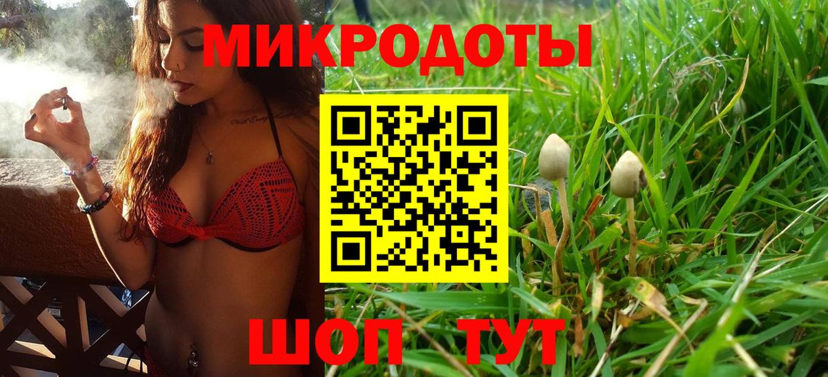 Галлюциногенные грибы GOLDEN TEACHER  Вход с VPN  Коркино 