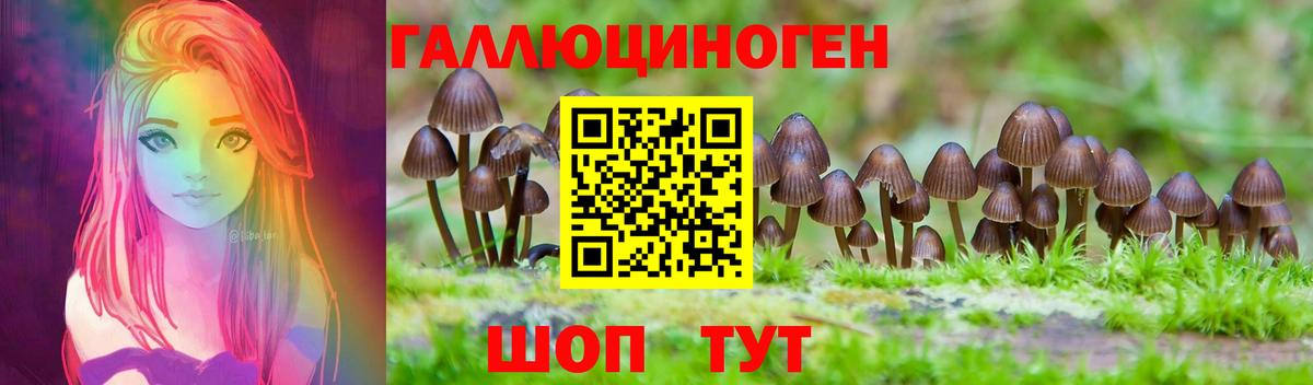 Псилоцибиновые грибы Cubensis Коркино